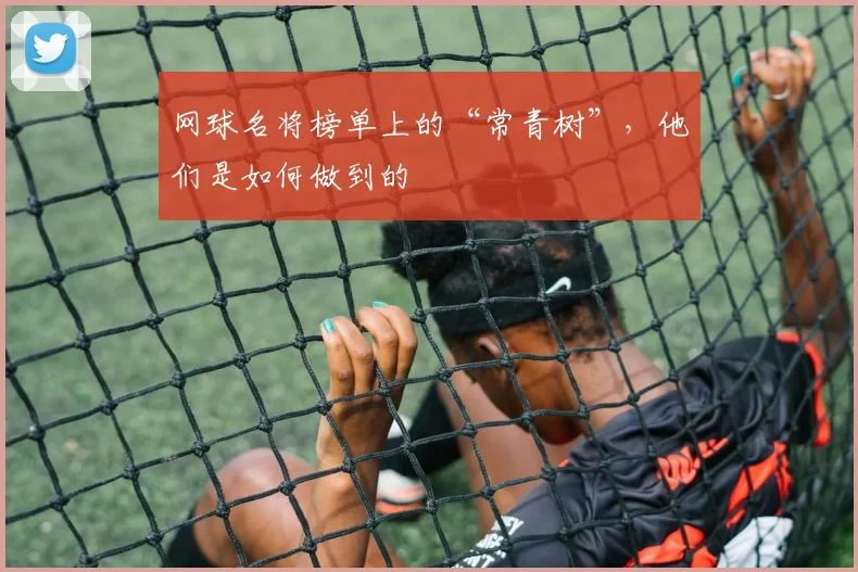 网球名将榜单上的“常青树”，他们是如何做到的