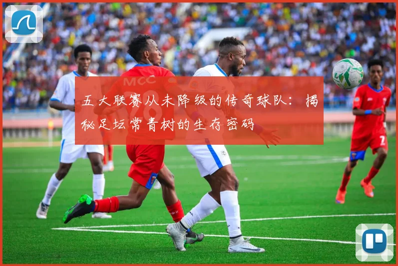 五大联赛从未降级的传奇球队:揭秘足坛常青树的生存密码